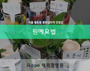 <병동프로그램> 원예요법-행운목 수경재배